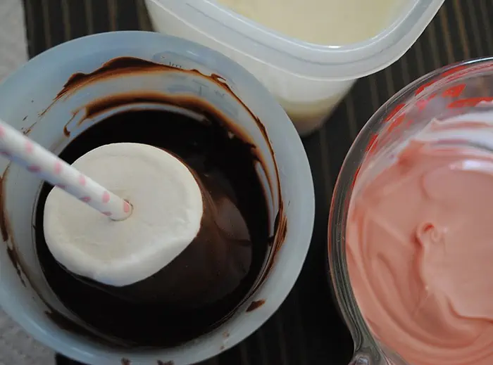 dip marshmallow pops in chocolate or melted candy melts