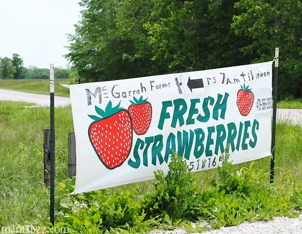 McGarrah-Farms-Fresh-Strawberries-Sign