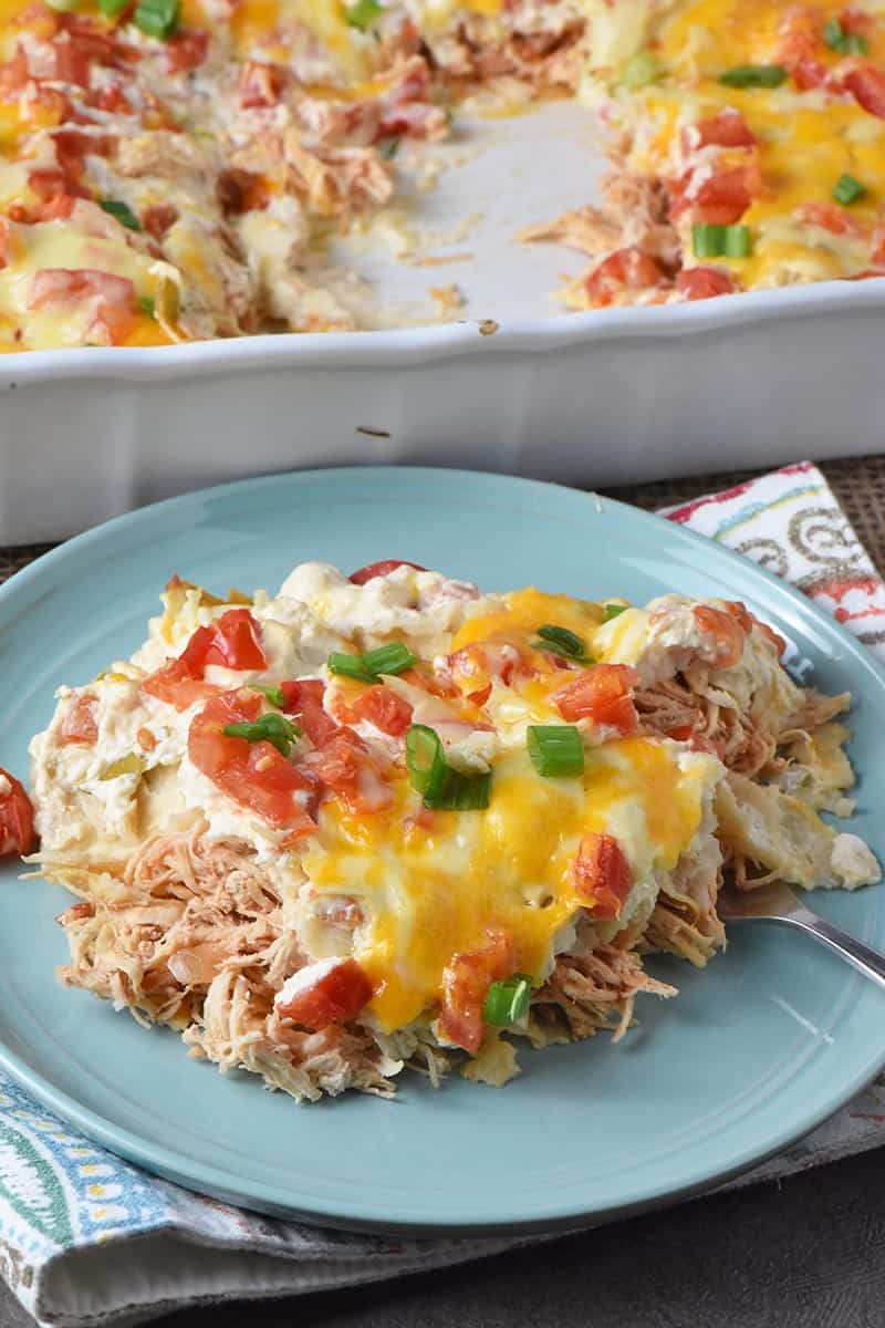 creamy chicken enchiladas served on a light blue plate with fresh tomatoes and green onions