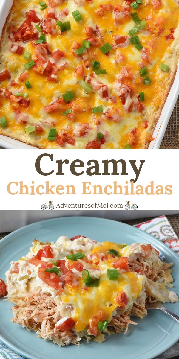 Creamy Chicken Enchiladas Recipe