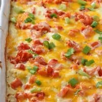 creamy chicken enchiladas with sour cream sauce in white baking dish