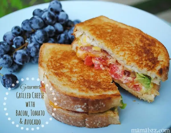 Gourmet grilled cheese with bacon tomato and avocado