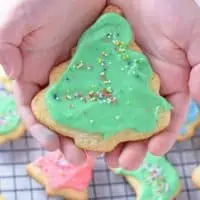 holding up a crisp cutout sugar cookie with green icing and multi-colored sprinkles closeup to the camera
