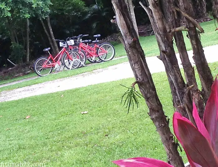 Bikes to rent at Anchor Inn and Cottages on Sanibel Island