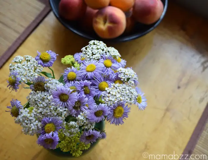 Wildflowers from the Rocky Mountains {MamaBuzz - mamabzz.com}