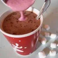 Add homemade raspberry creamer to hot chocolate {MamaBuzz - mamabzz.com} #EveryDayCare