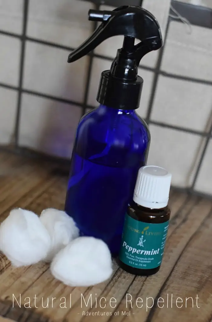 Mouse in the house? Been there, done that! Natural ways to keep mice out, including the use of Peppermint Oil as a natural mice repellent. How to keep mice away.