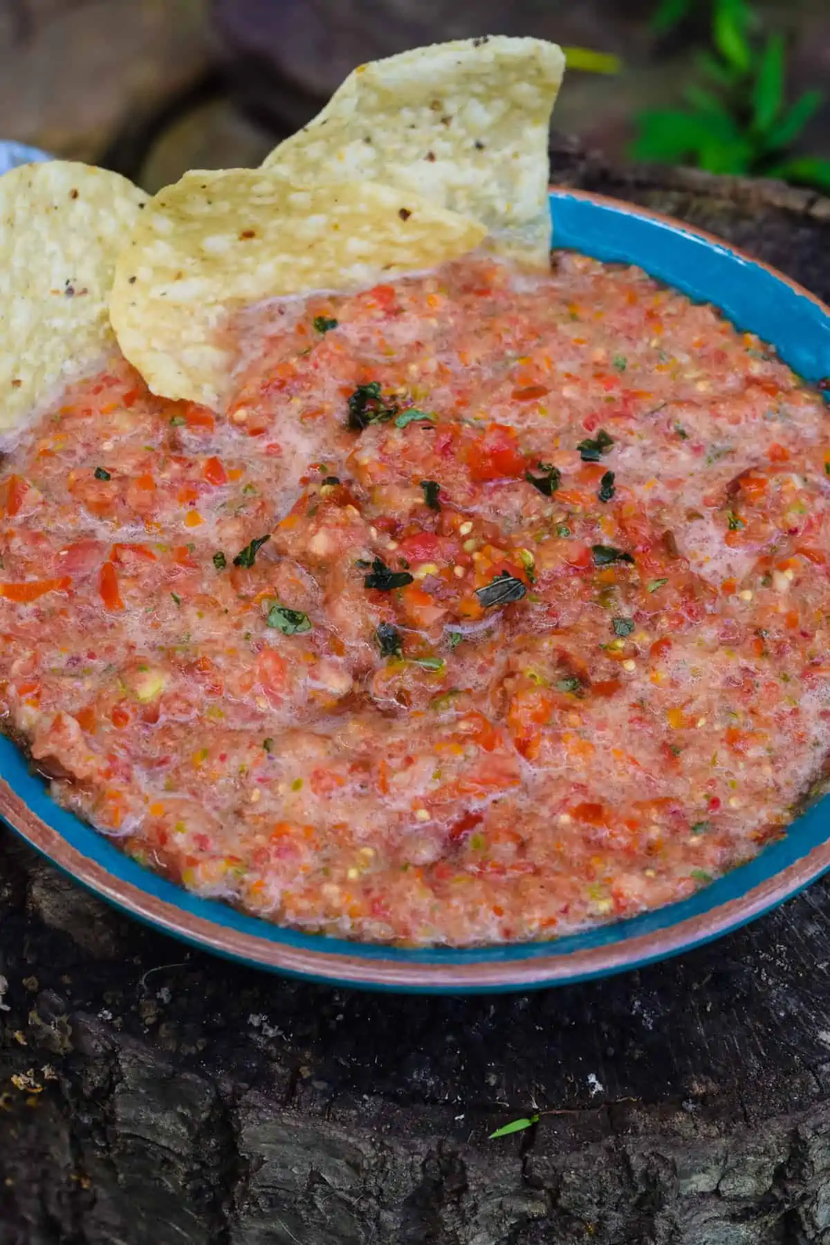 blue bowl full of basil tomato salsa with tortilla chips dipped in side