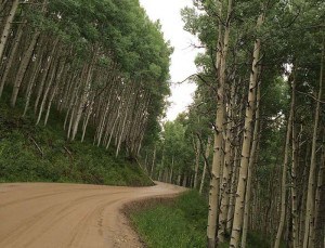 It’s time to take the road less traveled. 12 scenic roads in Colorado to add to your travel bucket list, including scenic byways, national park roads, 4 wheel drive or 4x4 trails, and offroad adventures. Colorado roads that will take your breath away.