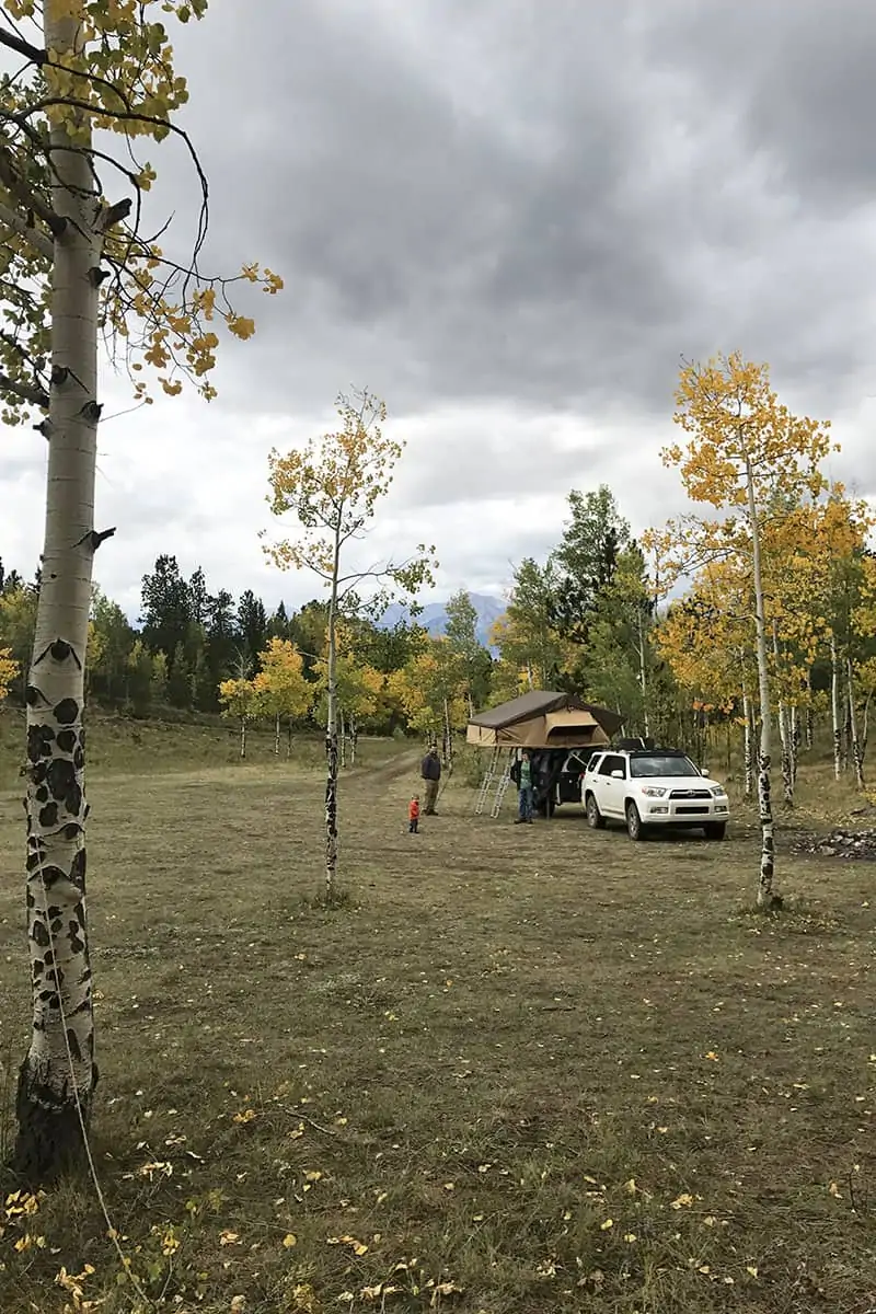 dispersed camping in an aspen grove with a rooftop tent in Colorado