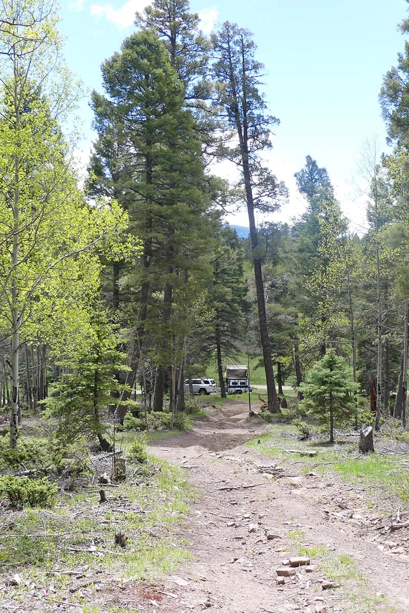 best free camping on a dirt road in the Carson National Forest in New Mexico