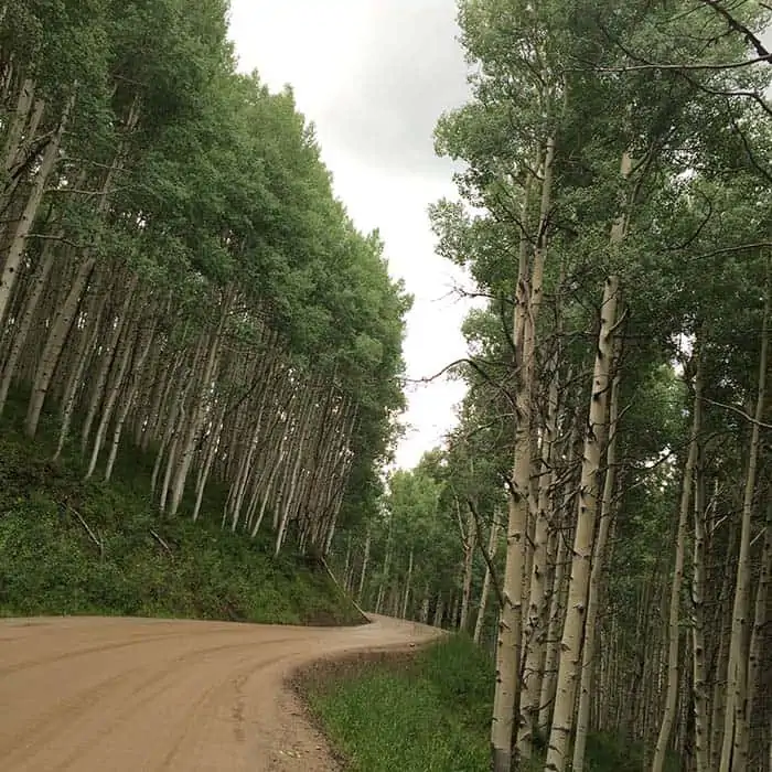 It’s time to take the road less traveled. 12 scenic roads in Colorado to add to your travel bucket list, including scenic byways, national park roads, 4 wheel drive or 4x4 trails, and offroad adventures. Colorado roads that will take your breath away.