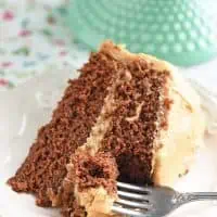 Slice of peanut butter chocolate cake layered together with peanut butter frosting