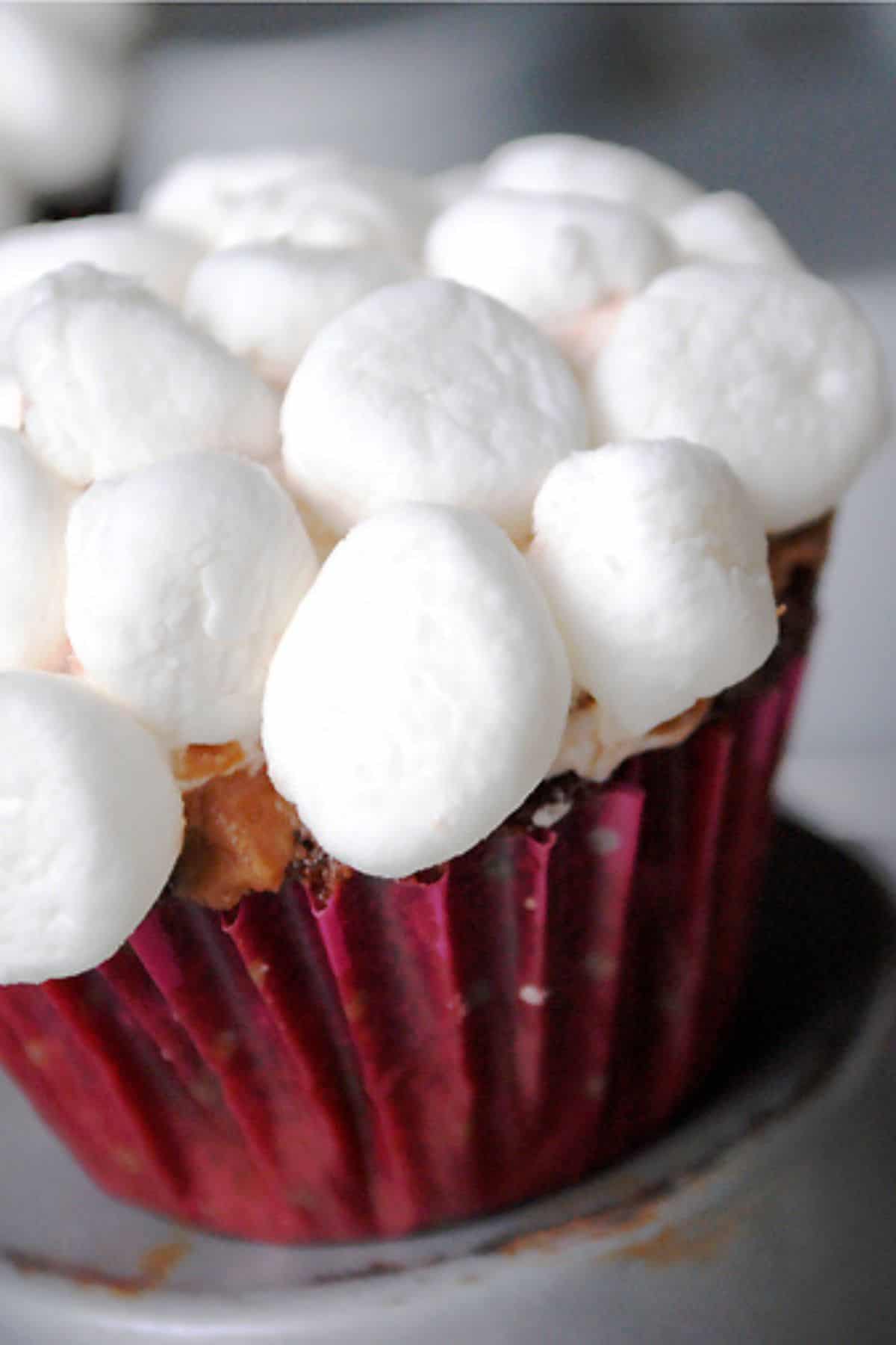 Easter bunny tail cupcake with mini marshmallows on muffin tin