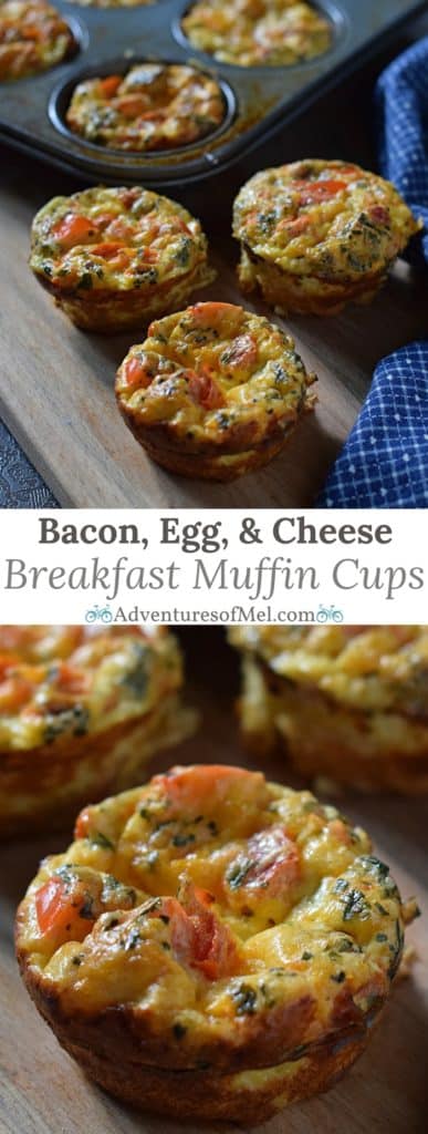 Bacon, Egg, and Cheese Breakfast Muffin cups - Adventures of Mel