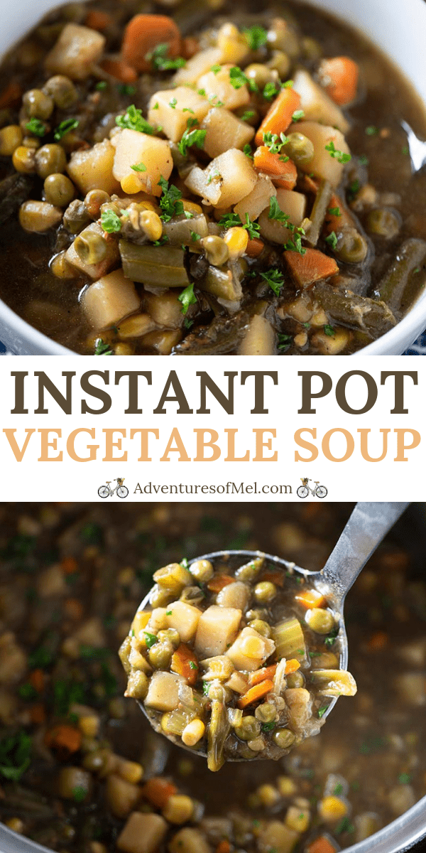 Dump and Go Instant Pot Vegetable Soup Recipe