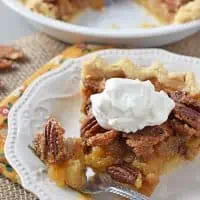 Classic Pecan Pie, made with dreamy pecans and a sweet and somewhat salty filling, a delicious dessert. My family's favorite pecan pie recipe!