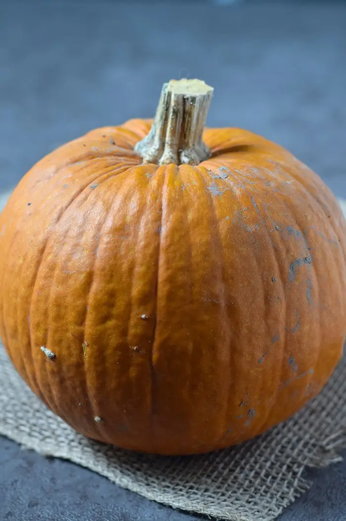 I love using pumpkin I roast myself for pumpkin pie, pumpkin roll, and more. It’s super easy to make homemade pumpkin puree, and it’s so delicious!