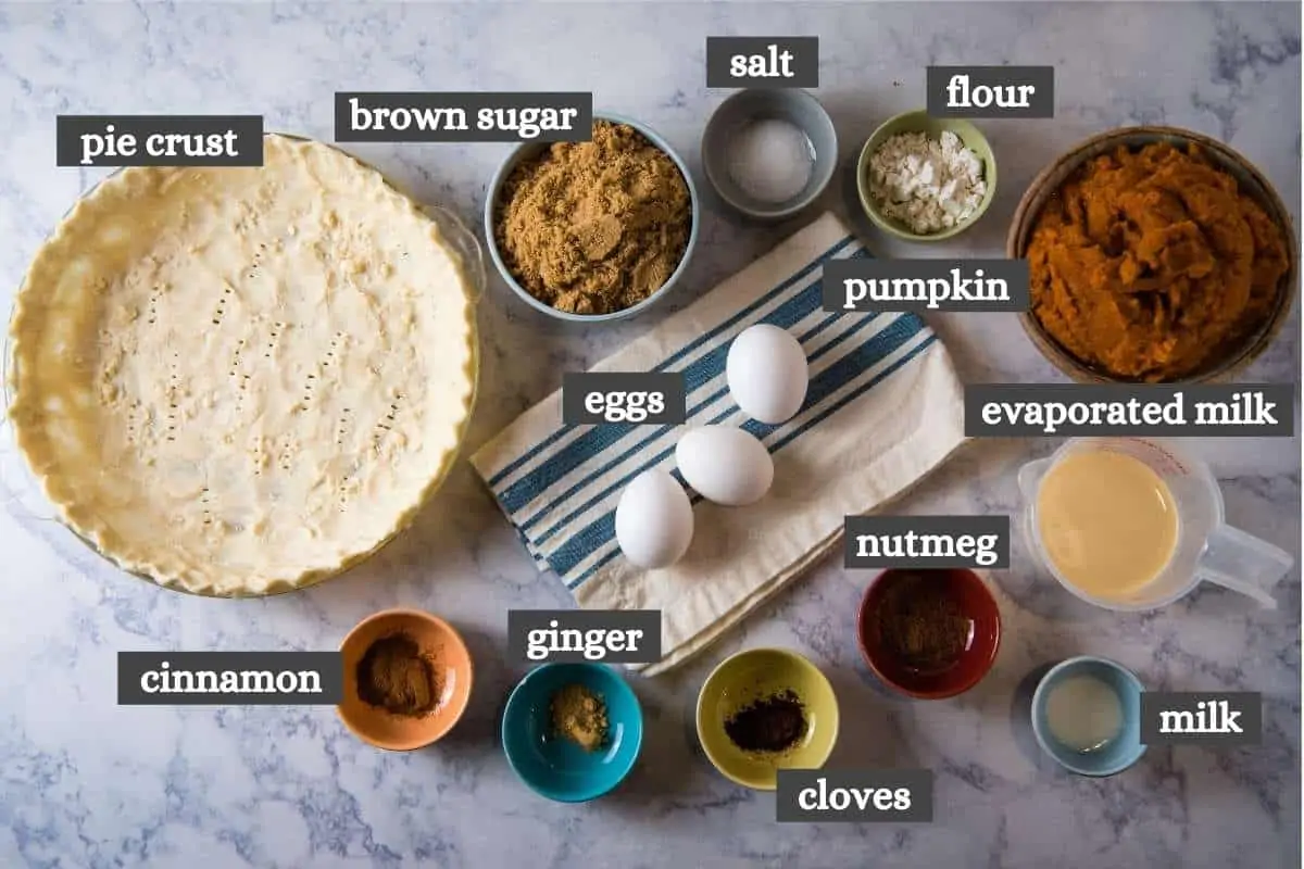 ingredients for pumpkin pie Grandma made on white marble countertop