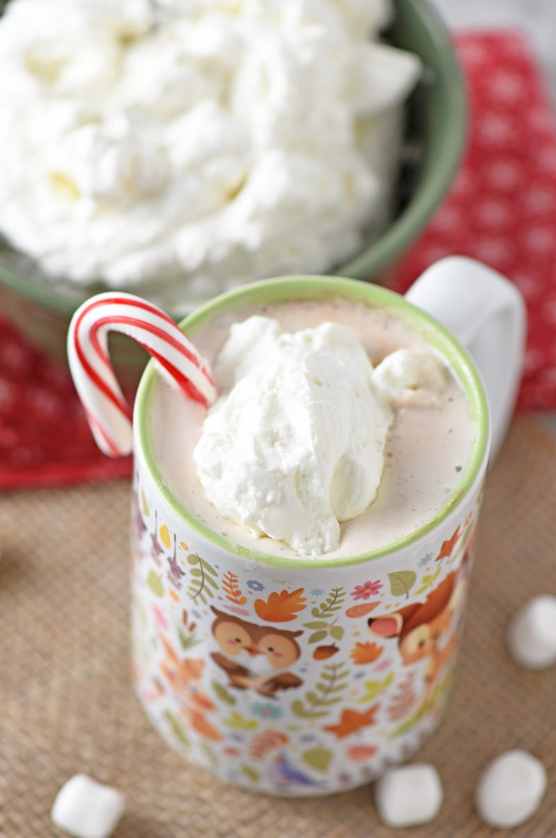 Peppermint Whipped Cream is one of my favorite dessert toppings on both pie and hot chocolate. Easy recipe you can make in about 5 minutes!