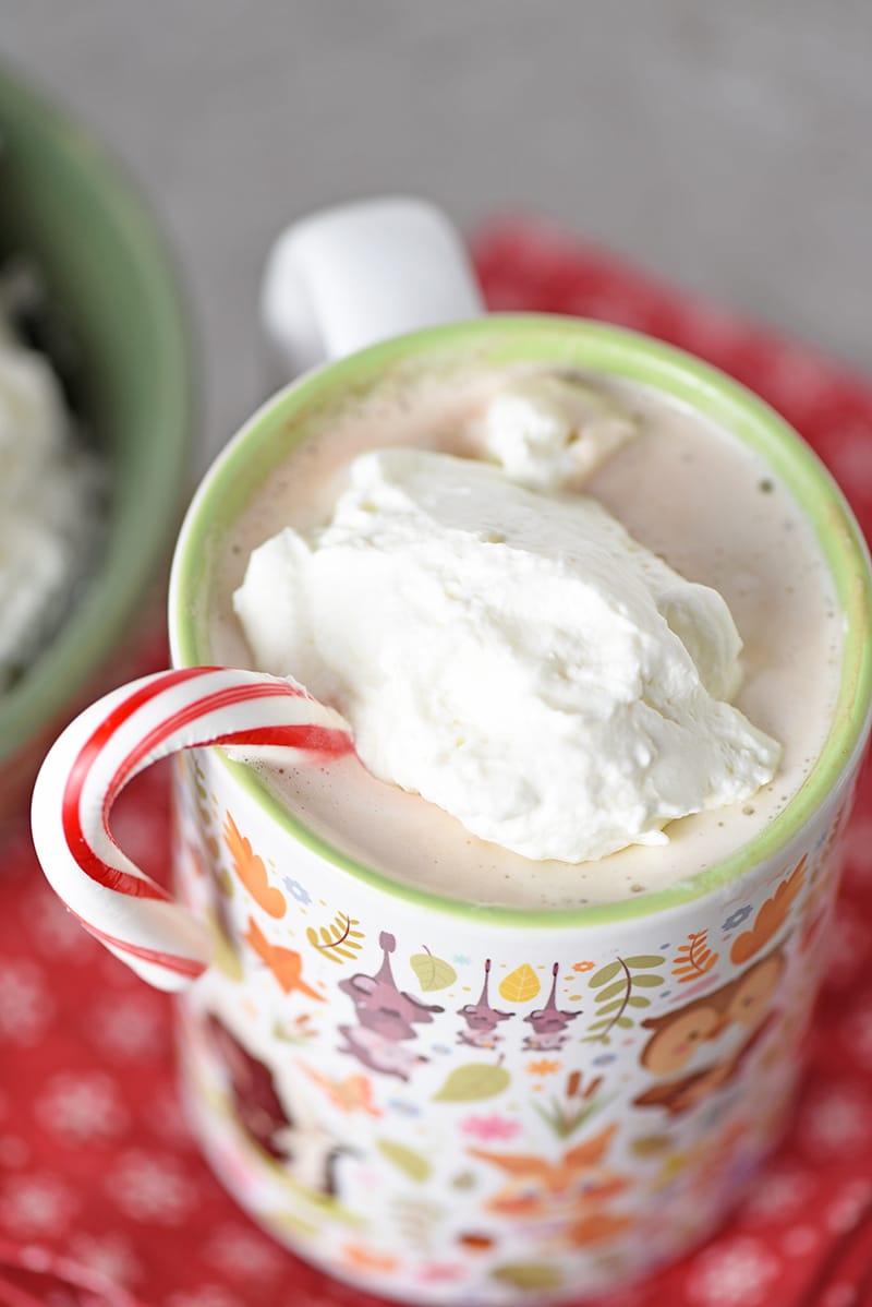 Peppermint Whipped Cream you can whip up in about 5 minutes. Makes a minty delicious topping for hot chocolate, pie, and all your favorite holiday desserts!