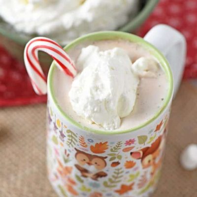 Peppermint Whipped Cream is one of my favorite dessert toppings on both pie and hot chocolate.