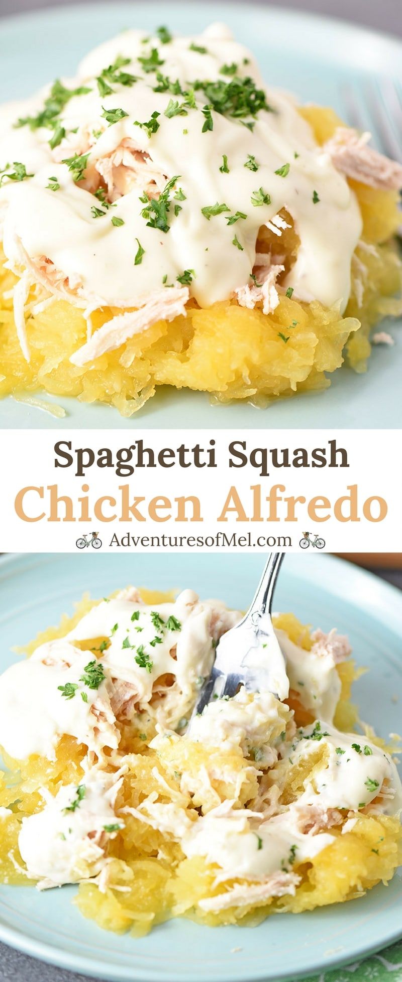 Spaghetti Squash Chicken Alfredo