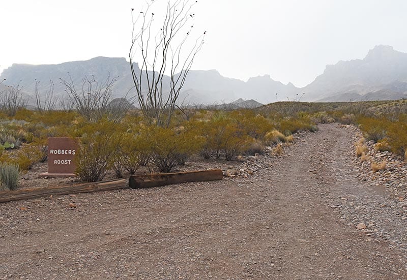 Robbers Roost dispersed campsite off Juniper Canyon Road in Big Bend National Park