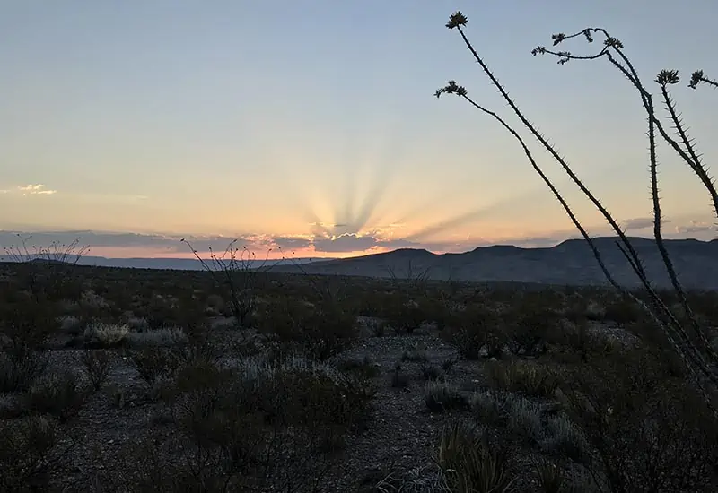 desert sunrise while Big Bend camping in Texas