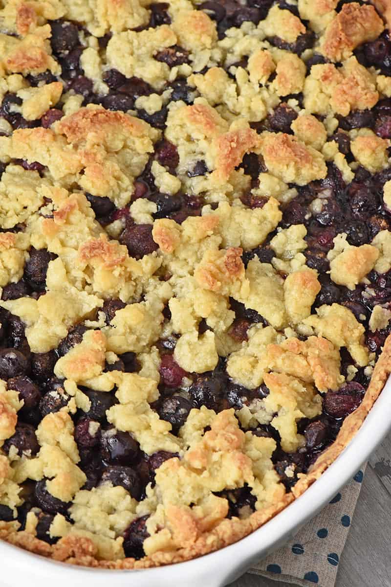 close up blueberry cobbler recipe photo