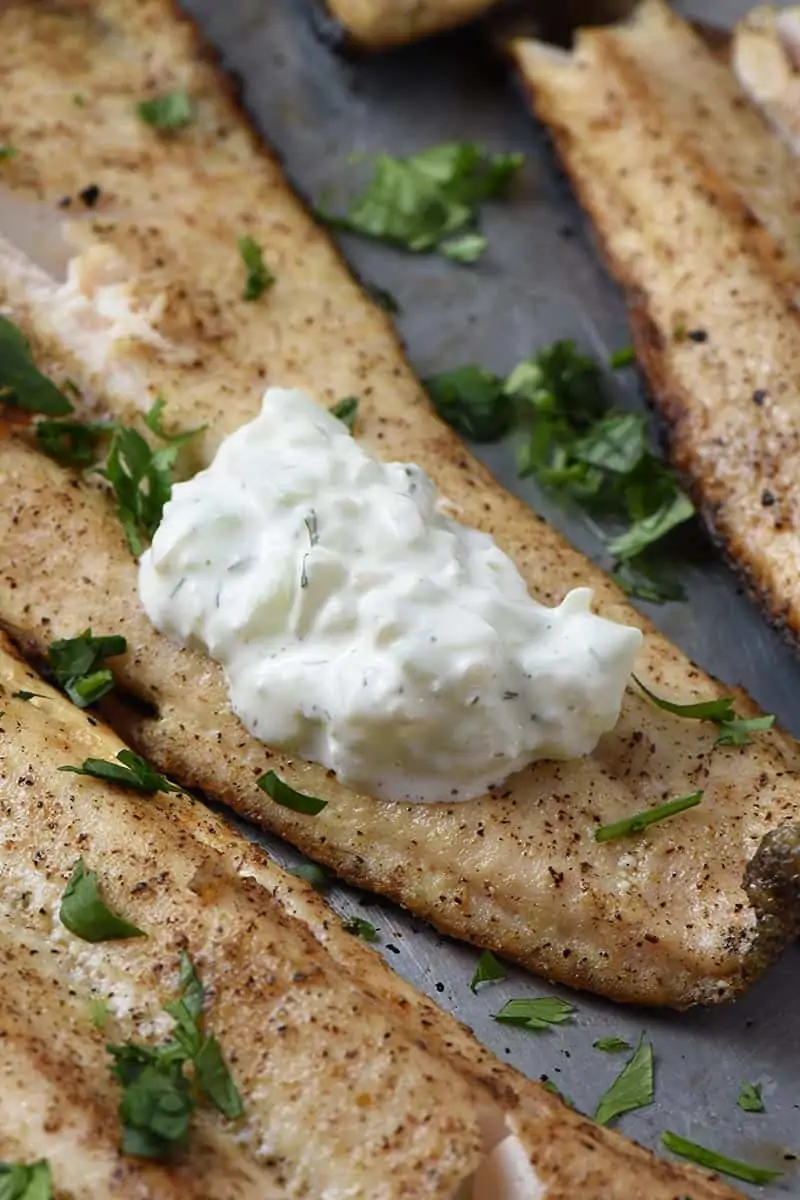grilled fish fillets served with tzatziki sauce