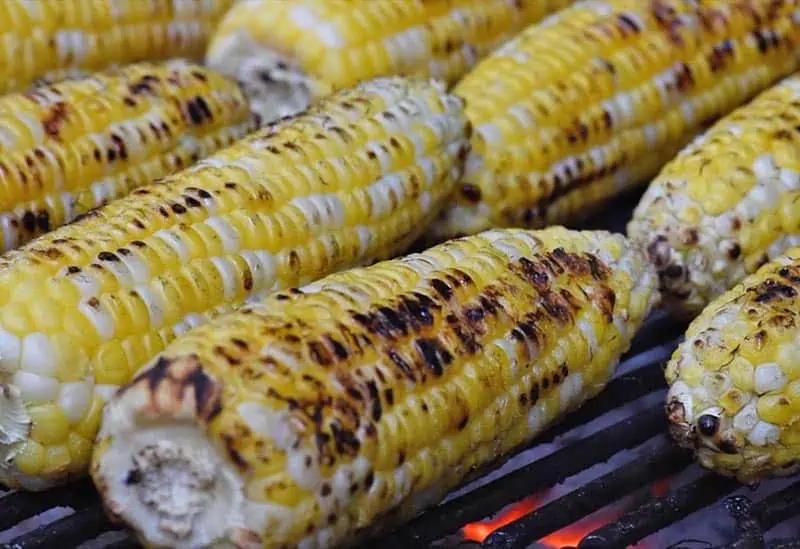 slightly charred grilled corn on the cob for Mexican corn recipe