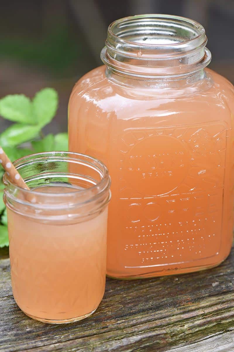 How To Make Homemade Apple Juice Without A Juicer Adventures Of Mel