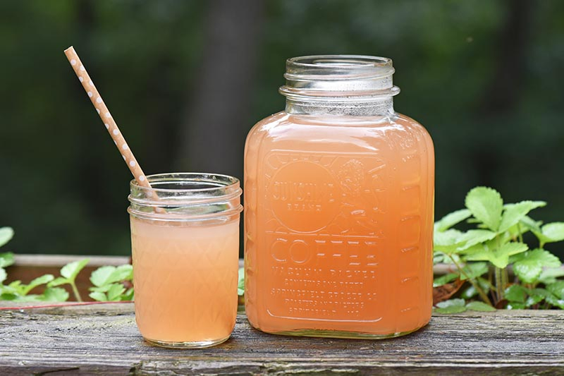 homemade apple juice made without an apple juicer, in a Sunshine Coffee jar
