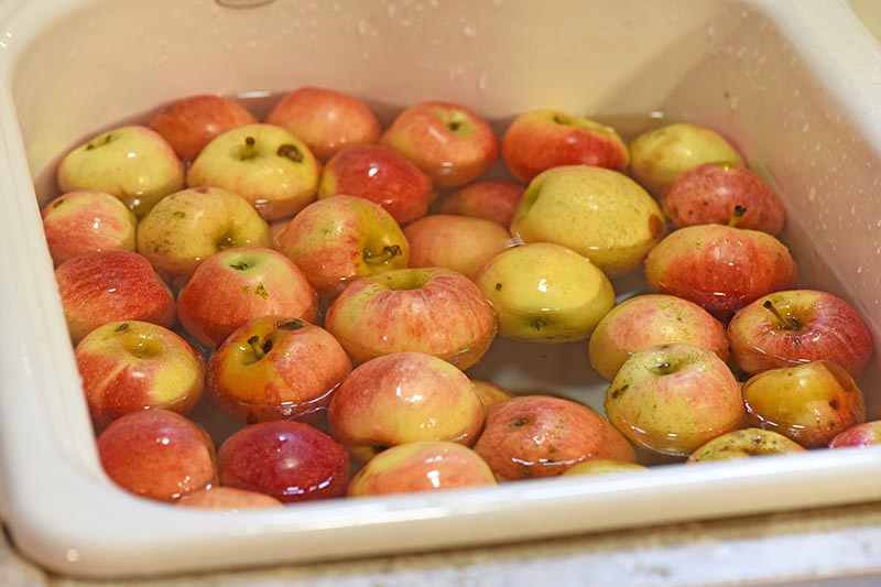 washing seconds apples in the sink for apple juice recipe