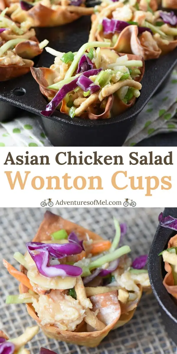 Asian Chicken Salad Wonton Cups Recipe
