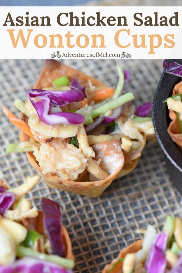 delicious Asian chicken salad wonton cups appetizers and finger food