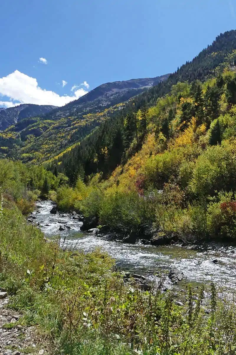 Crystal River and golden yellow aspens in a Colorado fall