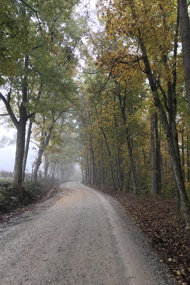 foggy autumn road, Cave Mountain Road to Hawksbill Crag Trailhead near Ponca, Arkansas