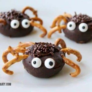Mini Chocolate Donut Spiders on white plate
