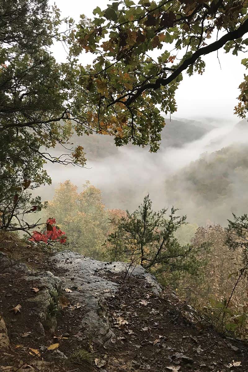 view of the Upper Buffalo River Wilderness from Hawksbill Crag Trail with fall colors