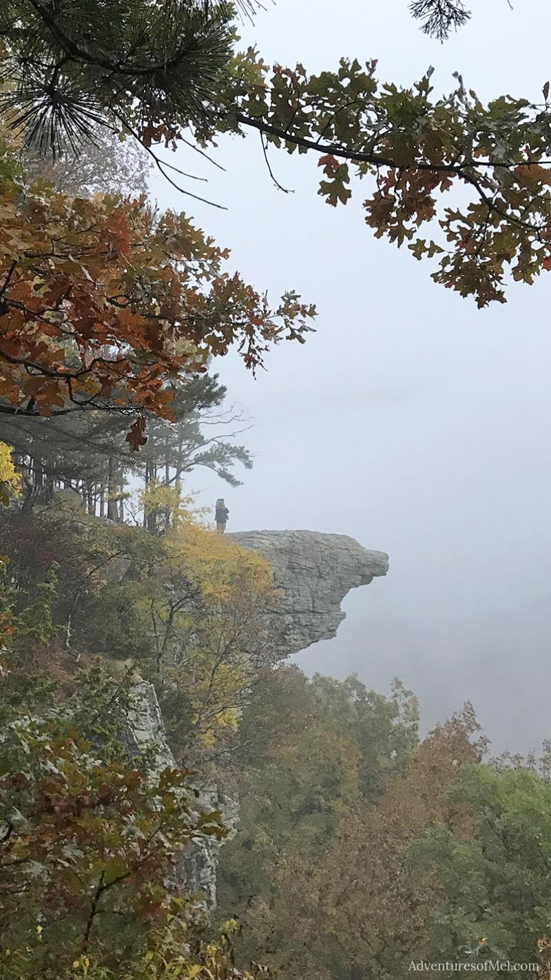 what it's like hiking Hawksbill Crag or Whitaker Point Arkansas