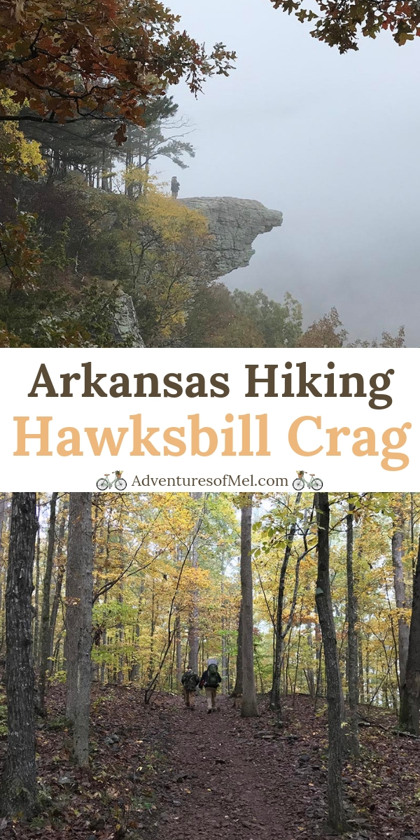 Arkansas Hiking Hawksbill Crag in the Natural State