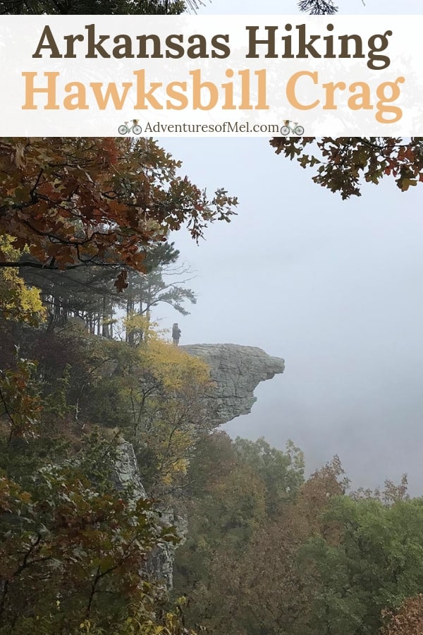 hiking Hawksbill Crag in the Natural State
