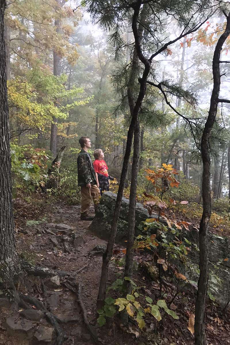 hiking with kids to Hawksbill Crag or Whitaker Point in the Natural State