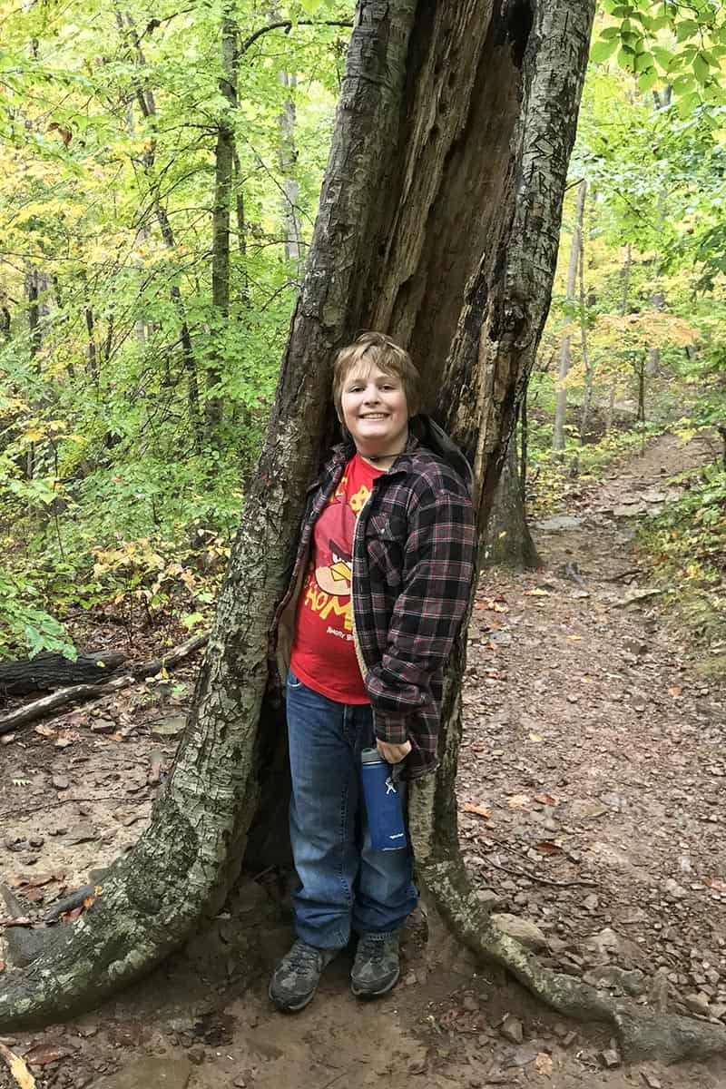 boy hiding in hollow tree on Whitaker Point Trail in Ozark National Forest