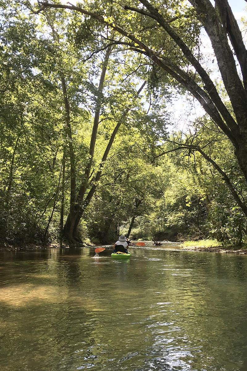 kayaking under trees on the beautiful Current River in Missouri