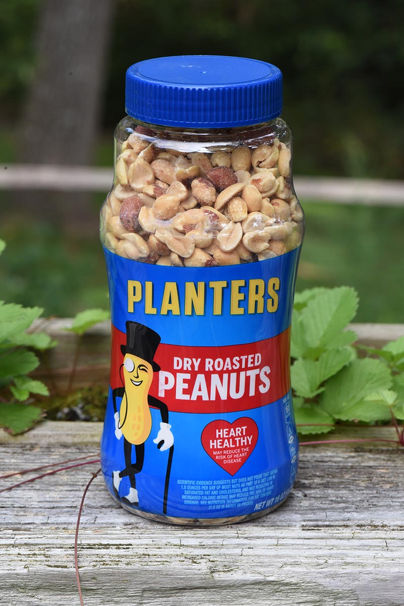 jar of PLANTERS Dry Roasted Peanuts for no bake peanut butter bars recipe