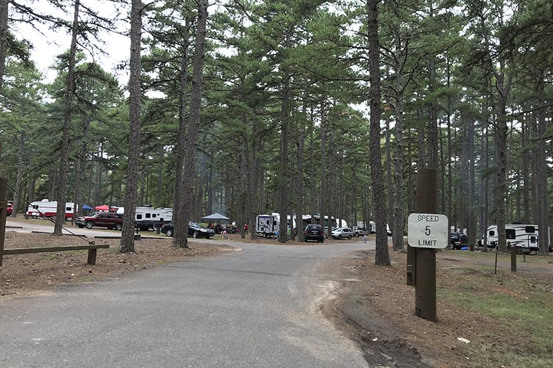 more open but wooded campsites in Petit Jean State Park