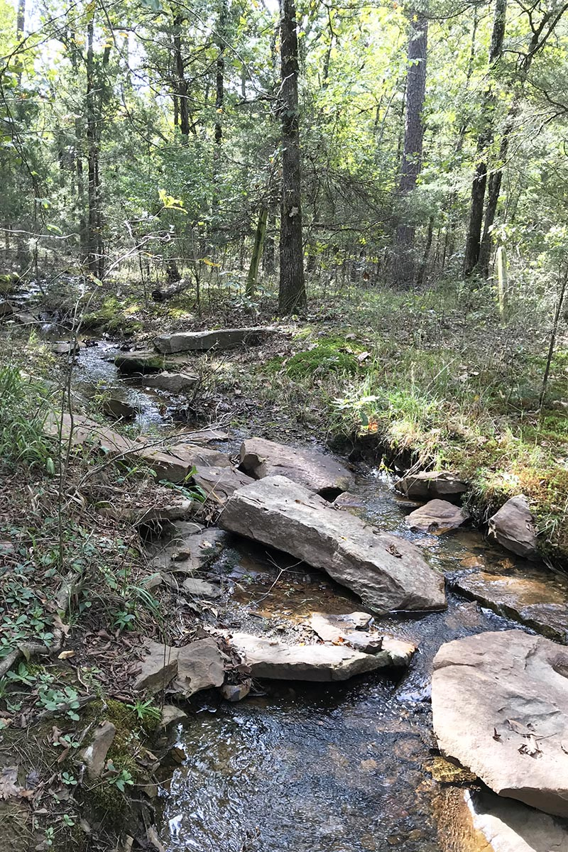 wooded stream in Petit Jean State Park campground